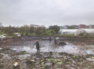 迪庆河道鱼塘清淤